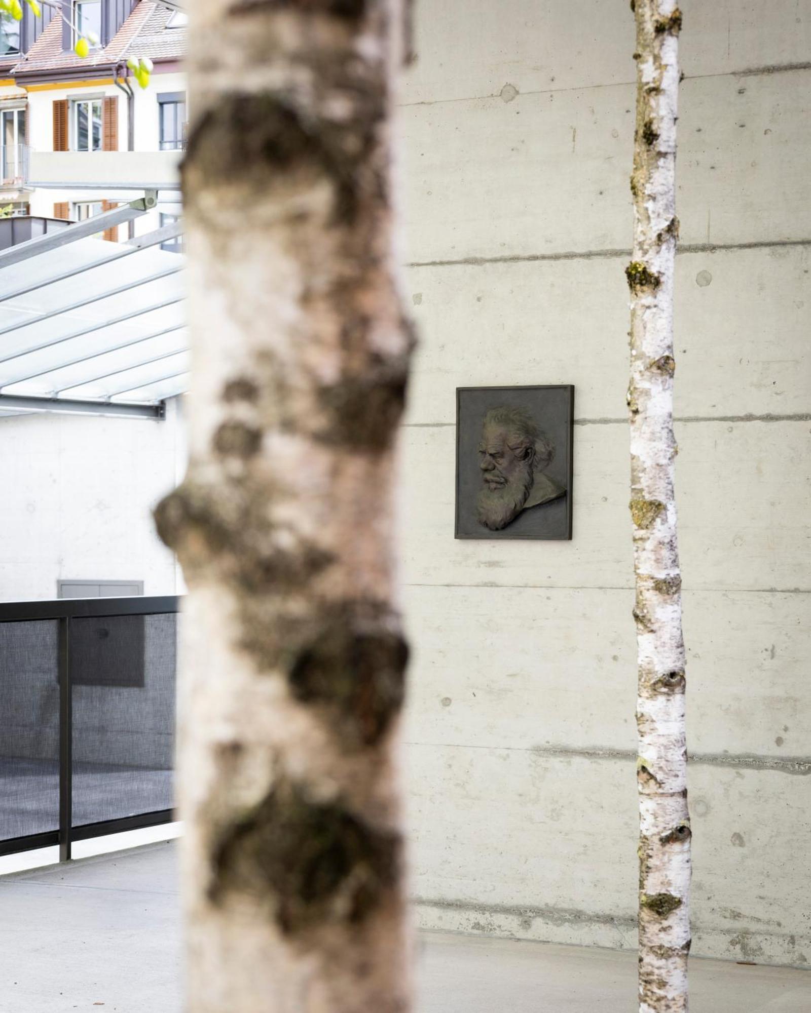 Greulich Design & Boutique Hotel Zurich Exterior photo